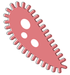 Illustration eines Bakteriums