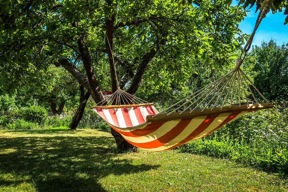 Hängematte in einem Garten zwischen Bäumer