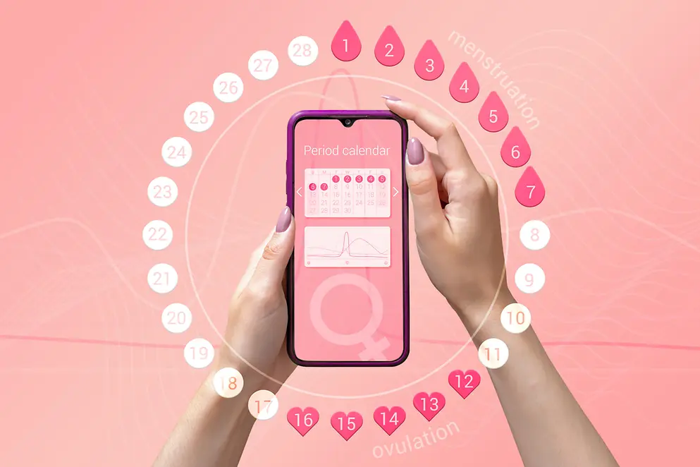 Menstruationszyklus-Tracker App auf Smartphone-Bildschirm in den Händen einer Frau